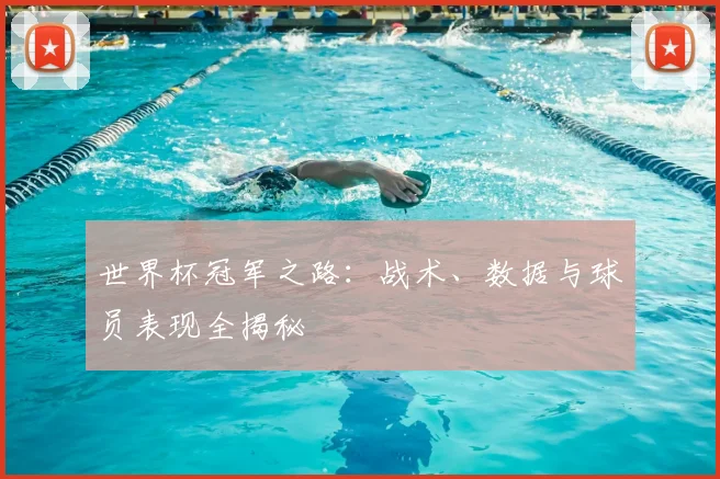世界杯冠军之路：战术、数据与球员表现全揭秘
