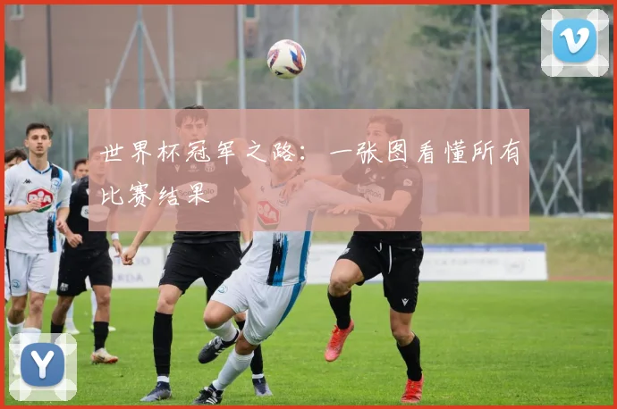 世界杯冠军之路：一张图看懂所有比赛结果
